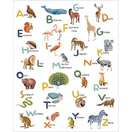 Kuvatapetti Caselio Apprenons L Alphabet Multicouleurs, eri kokoja