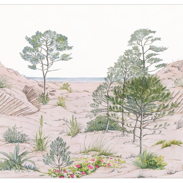 Kuvatapetti Caselio Sand Dune S 265X250cm (106377037)