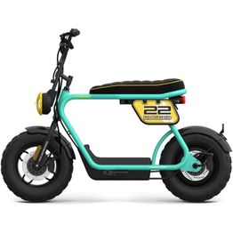 Sähköskootteri Coopop Rugged, 25km/h, sky blue