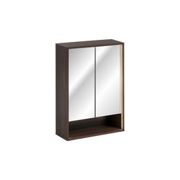 Peilikaappi Interia Daphne 60x85x20 cm, ruskea