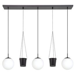 Riippuvalaisin kukkaruukuilla Rondo 3 3-osainen 121x20cm valkoinen/musta