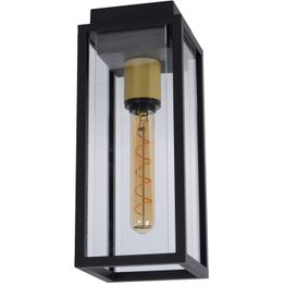 Ulkokattovalaisin Lucide Laurens, musta