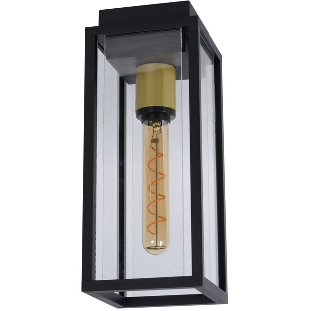 Ulkokattovalaisin Lucide Laurens, musta