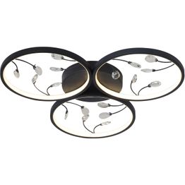 Kattovalaisin FocusLight Rings Ø62cm, 3x10W, CCT, himmennys