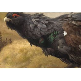 Satiinityynyliina Finlayson Taistelevat metsot, 50x60cm, monivärinen