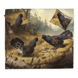 Parivuoteen satiinipussilakanasetti Finlayson Taistelevat metsot, monivärinen