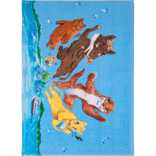 Pyyhe Finlayson Sankarit