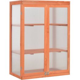 Kasvihuone, 75x47x109 cm