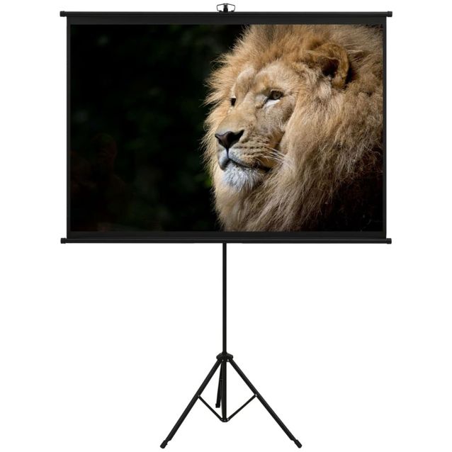 Valkokangas jalustalla, 57