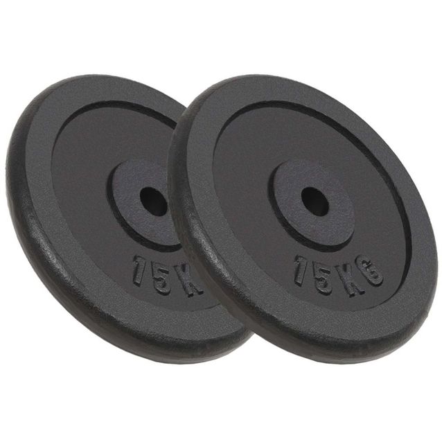 Levypainot, 2kpl, 30kg, valurauta