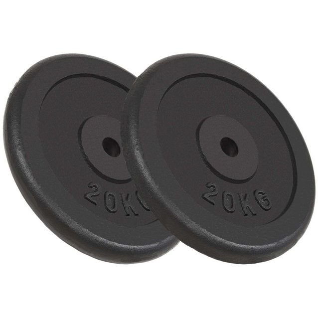 Levypainot, 2kpl, 40kg, valurauta