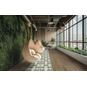 GER61241707 - Vinyylilankku Gerflor Creation 55 Clic Acoustic Aquinoah Nature