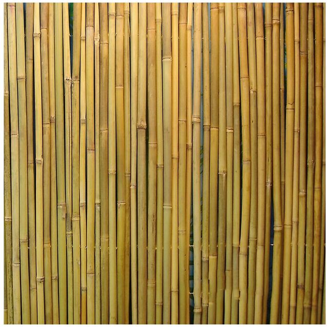 Bambuaita Home4you In Garden 200x300 cm