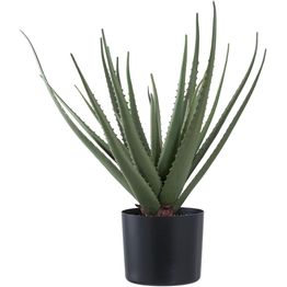 Tekokasvi House Nordic Aloe Vera, 51cm, vihreä