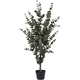 Tekokasvi House Nordic Eukalyptuspuu, 120cm, vihreä