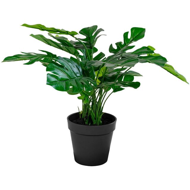 Tekokasvi peikonlehti House Nordic Monstera, vihreä