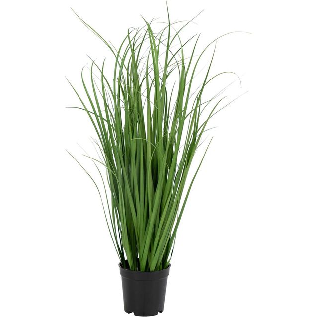 Tekokasvi House Nordic Poa-koristeheinä, 68cm, vihreä