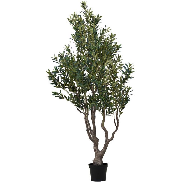 Oliivipuu House Nordic Olive