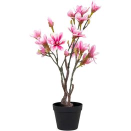 Tekokasvi House Nordic Magnolia, 74cm, vaaleanpunainen