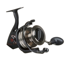 Avokela Penn Sargus SG II