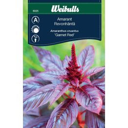 Amarantti Weibulls 'Garnet Red' siemenet