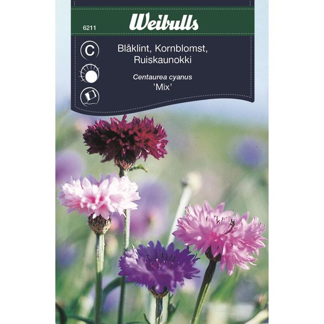 Ruiskaunokki Weibulls mix siemenet