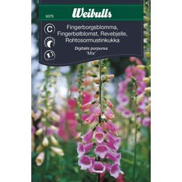 Sormustinkukka Weibulls Mix siemenet