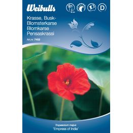 Krassi Weibulls tummalehtinen pensaskrassi siemenet