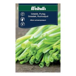 Ruohosipuli Weibulls hienolehtinen siemenet