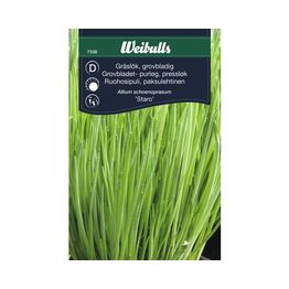 Ruohosipuli Weibulls Staro Extra Karkea siemenet