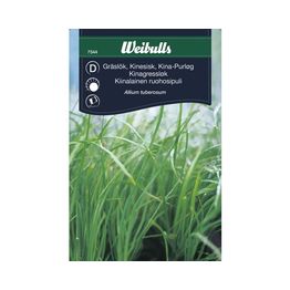 Ruohosipuli Weibulls kiinalainen siemenet