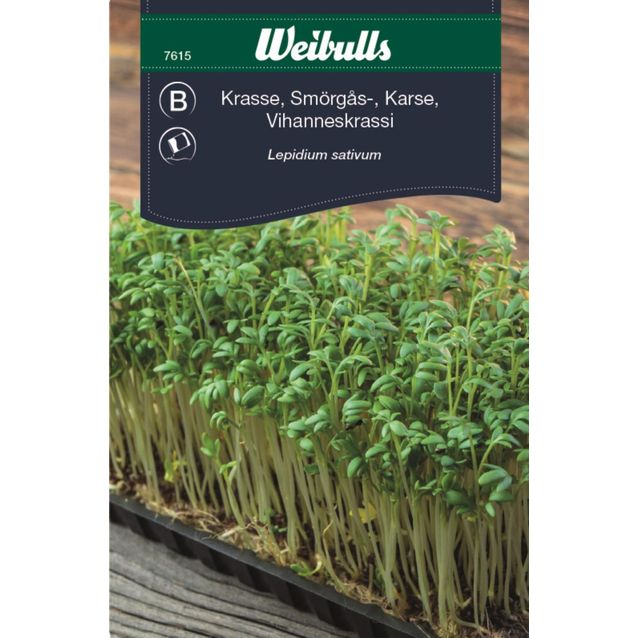 Krassi Weibulls voileipäkrassi siemenet