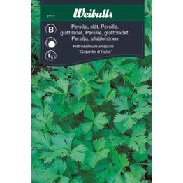 Persilja Weibulls sileälehtinen siemenet