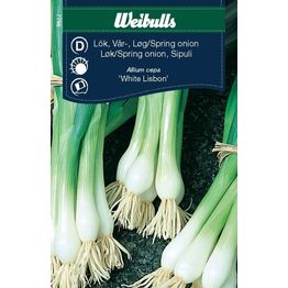 Sipuli Weibulls ruohosipuli White Lisbon siemenet