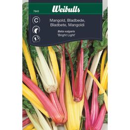 Mangold Weibulls Bright Lights siemenet