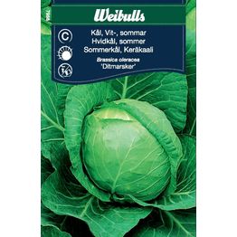 Kaalinsiemenet Weibulls keräkaali valkoinen kesä