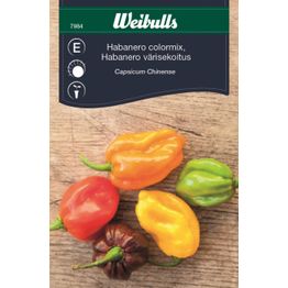 Chilipaprika Weibulls Habanero Mix siemenet