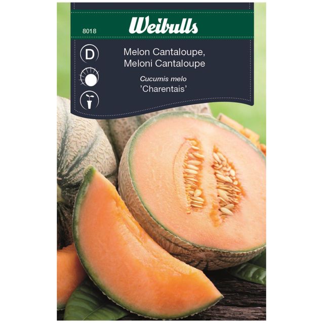 Meloni Weibulls cantaloupe siemenet