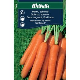 Porkkana Weibulls kesä Nantaise 2 siemenet