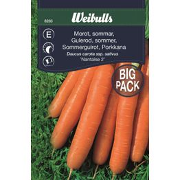 Porkkana Weibulls kesä suurpakkaus siemenet