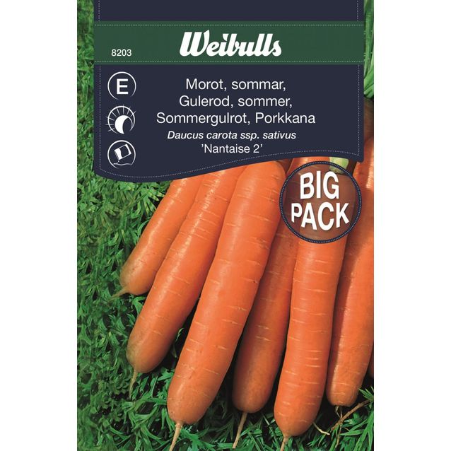 Porkkana Weibulls kesä suurpakkaus siemenet