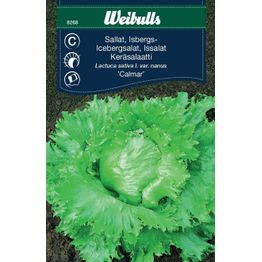 Salaatin siemenet Weibulls Isberg 'Calmar'