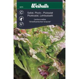 Salaatin siemenet Weibulls Am Brun lehtisalaatti