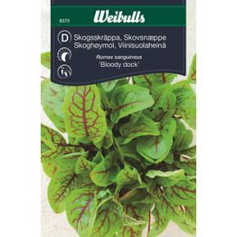 Metsäapilan siemenet Weibulls punasuoninen suolaheinä