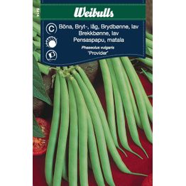 Papu Weibulls pensaspapu matala 'Provider' siemenet