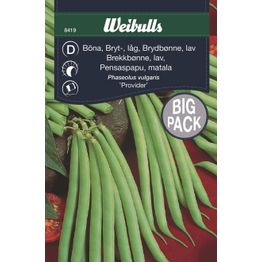 Papu Weibulls pensaspapu 'Provider' suurpakkaus siemenet