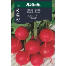 Retiisin siemenet Weibulls Saxa