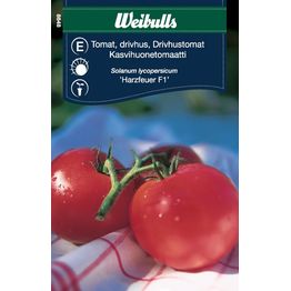 Tomaatti Harzfeuer F1 Weibulls Frö
