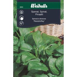 Pinaatin siemenet Weibulls Fabris