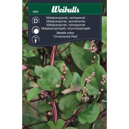 Pinaatin siemenet Weibulls Malabar